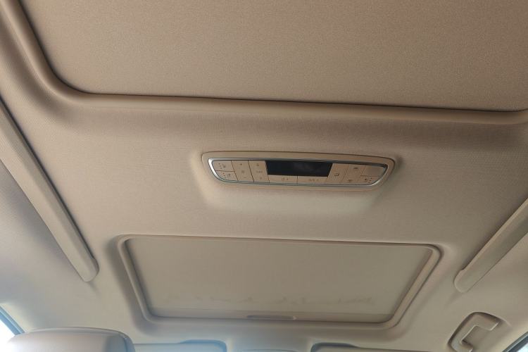 Used Buick GL8 2021 ES Landtrek 653T Luxury Model Headliner