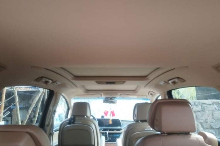 Used Buick GL8 2021 ES Landtrek 653T Luxury Model Headliner
