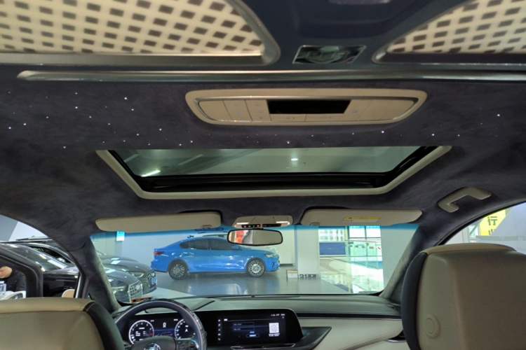 Used Buick GL8 2021 ES Landtrek 653T Comfort Edition Headliner