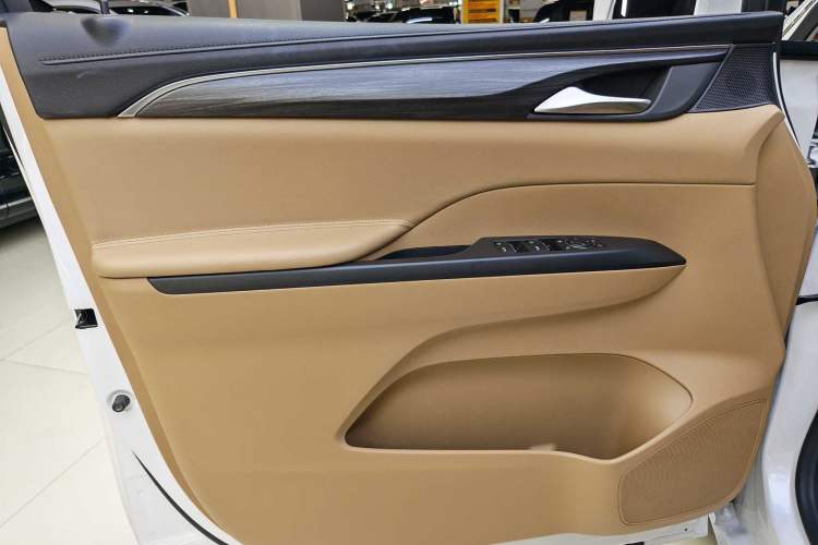 Used Buick GL8 2021 ES Landtrek 653T Luxury Model Interior 10
