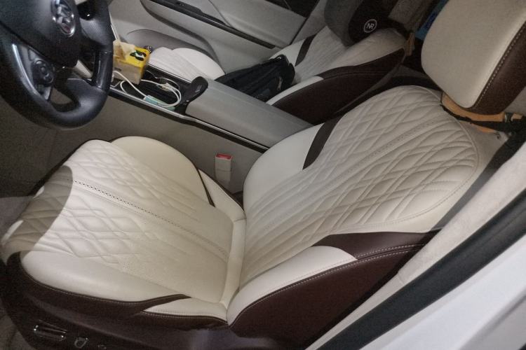 Used Buick GL8 2021 ES Landtrek 653T Comfort Edition Left Front Seat