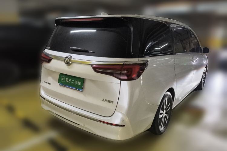 Used Buick GL8 2021 ES Landtrek 653T Comfort Edition Rear Right 45 Deg