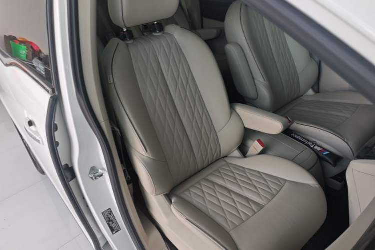 Used Buick GL8 2021 Land Cruiser Executive Class 652T Smart Luxury Model Right Front Seat
