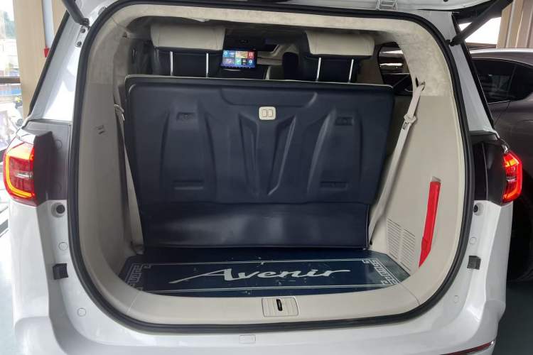 Used Buick GL8 2021 ES Landtrek 653T Comfort Edition Trunk