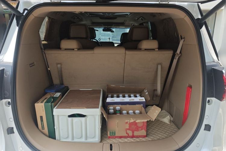 Used Buick GL8 2021 ES Land Cruiser 653T Luxury Edition Trunk