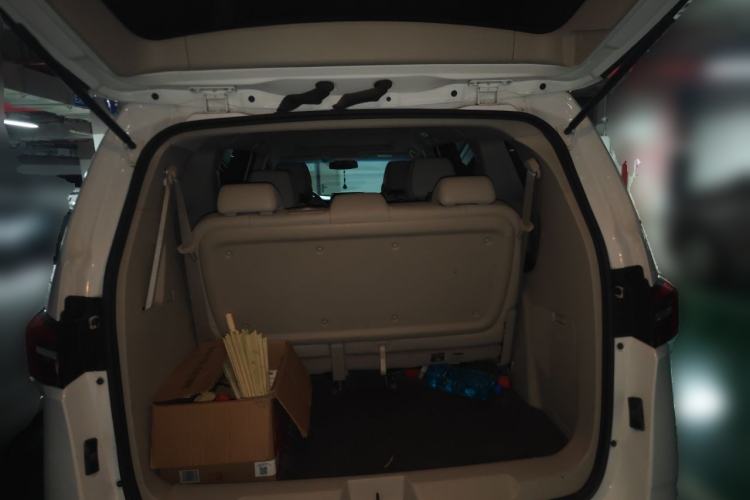 Used Buick GL8 2021 Land Cruiser Executive Class 652T Luxury Model Trunk