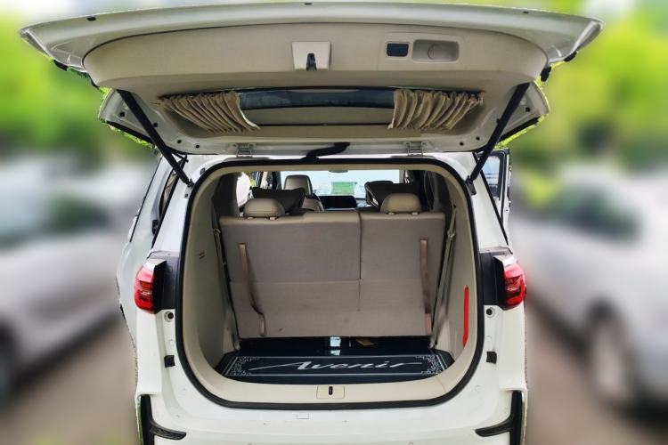 Used Buick GL8 2021 ES Landtrek 653T Luxury Model Trunk