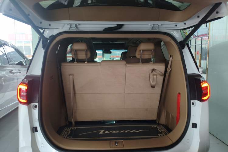 Used Buick GL8 2021 ES Landtrek 653T Luxury Model Trunk