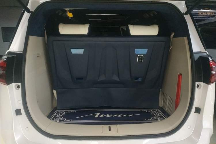 Used Buick GL8 2021 ES Landtrek 653T Comfort Edition Trunk