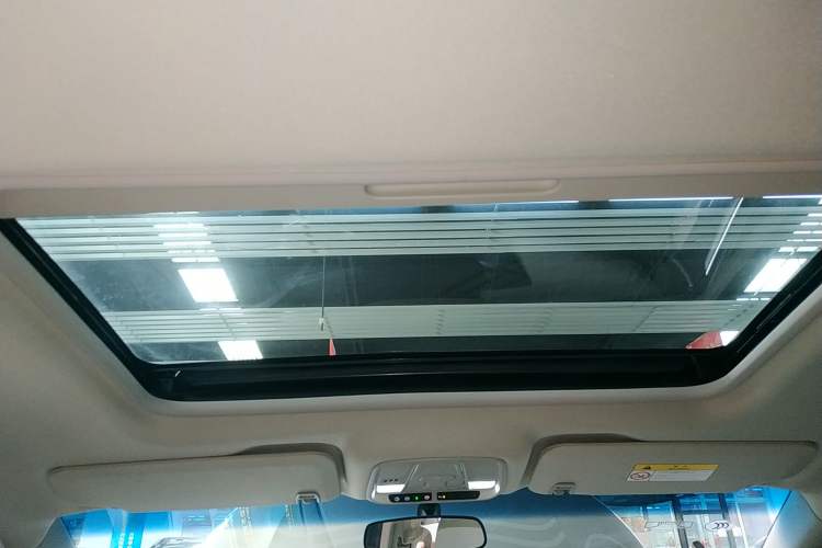 Used Buick GL8 2021 ES Landtrek 653T Comfort Edition Headliner