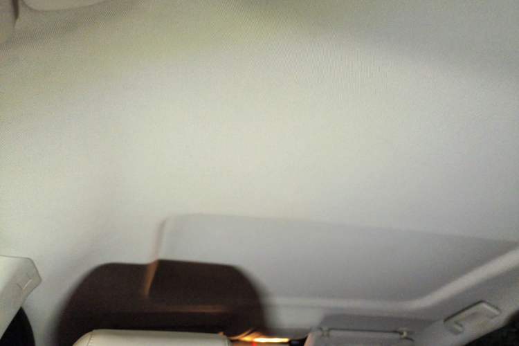 Used Buick GL8 2021 Land Cruiser Executive Class 652T Comfort Model Headliner