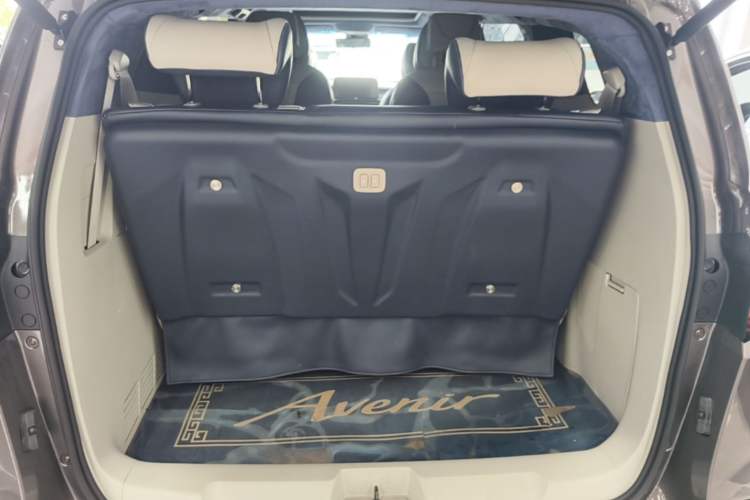 Used Buick GL8 2021 Land Cruiser Executive Class 652T Smart Luxury Model Trunk