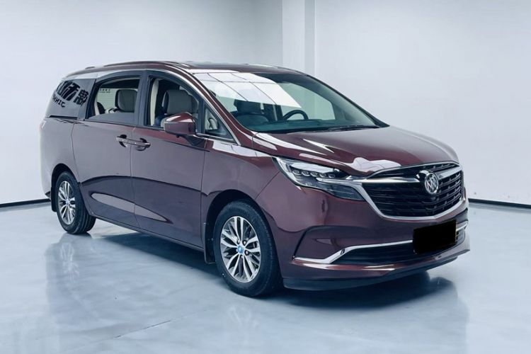 Used Buick GL8 2022 ES Landtrek 653T Comfort Edition Exterior 6
