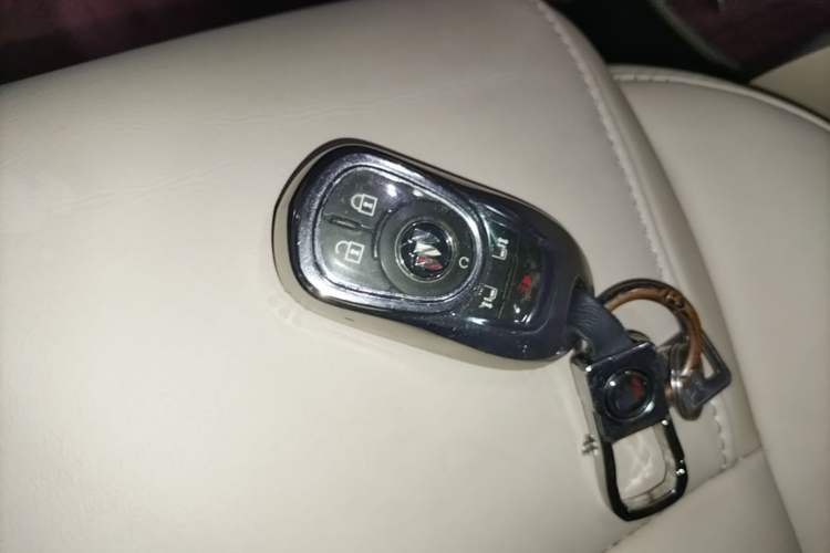 Used Buick GL8 2022 ES Landtrek 653T Luxury Edition Interior 1