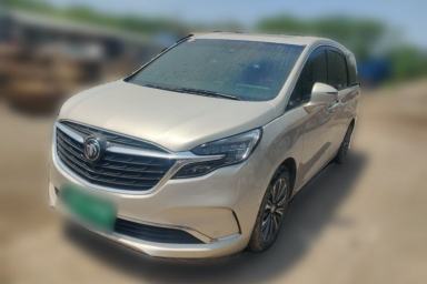 Used Buick GL8 2022 ES Landtrek 653T Flagship Model