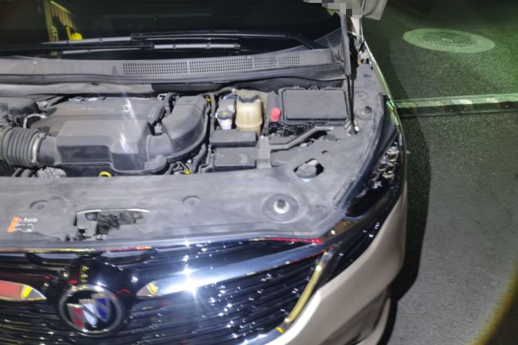 Used Buick GL8 2022 ES Landtrek 653T Luxury Edition Engine Bay Left