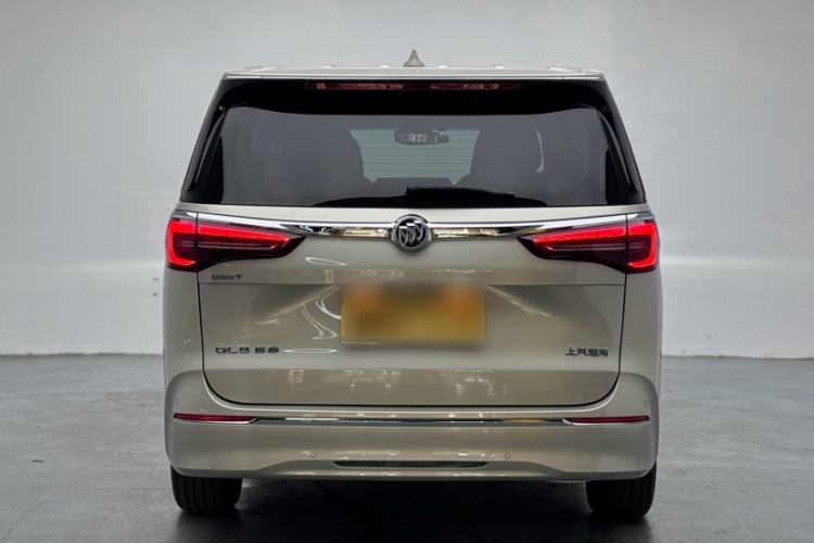 Used Buick GL8 2022 ES Landtrek 653T Luxury Edition Exterior 1