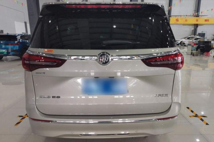 Used Buick GL8 2022 ES Landtrek 653T Luxury Edition Exterior 5