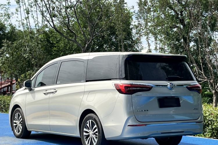 Used Buick GL8 2022 ES Landtrek 653T Luxury Edition Exterior 6
