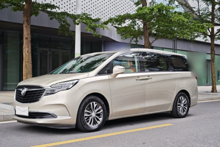 Used Buick GL8 2022 ES Landtrek 653T Comfort Edition Exterior 8