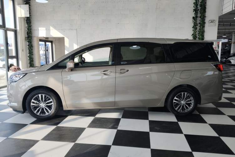 Used Buick GL8 2022 ES Landtrek 653T Luxury Edition Left Side