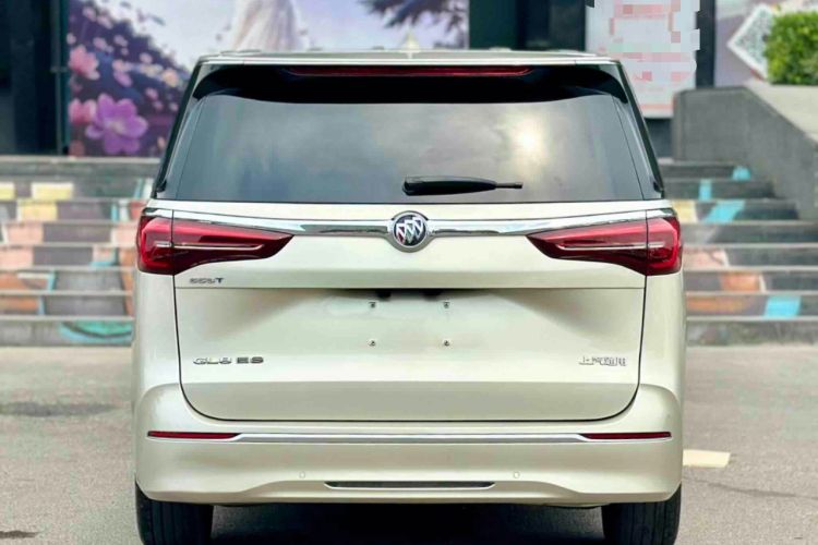 Used Buick GL8 2022 ES Landtrek 653T Luxury Edition Rear