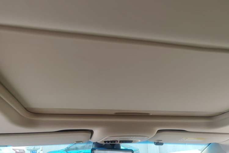 Used Buick GL8 2022 ES Landtrek 653T Luxury Edition Headliner