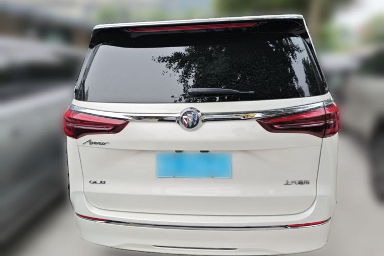 Used Buick GL8 2022 ES Landtrek 653T Luxury Edition Rear