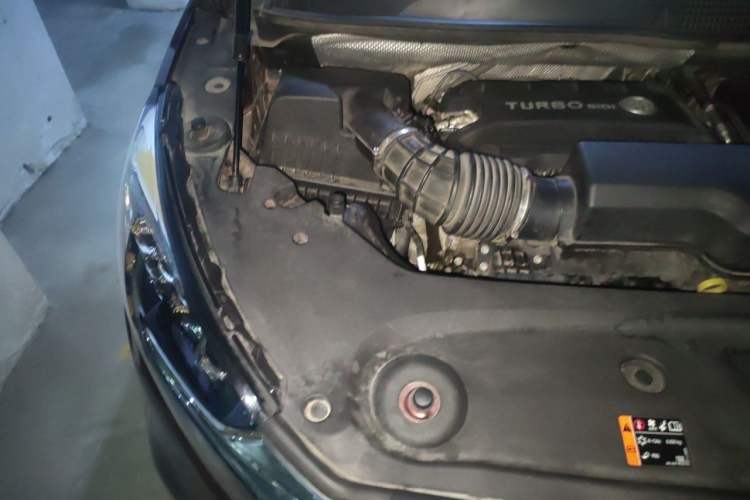 Used Buick GL8 2022 ES Landtrek 653T Luxury Edition Engine Bay Right