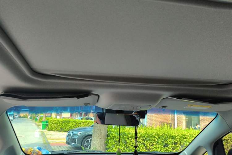 Used Buick GL8 2022 Land Executive Class 652T Prestige Model Headliner