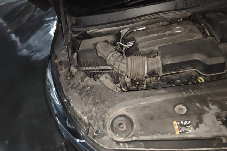 Used Buick GL8 2022 ES Landtrek 653T Luxury Edition Engine Bay Right