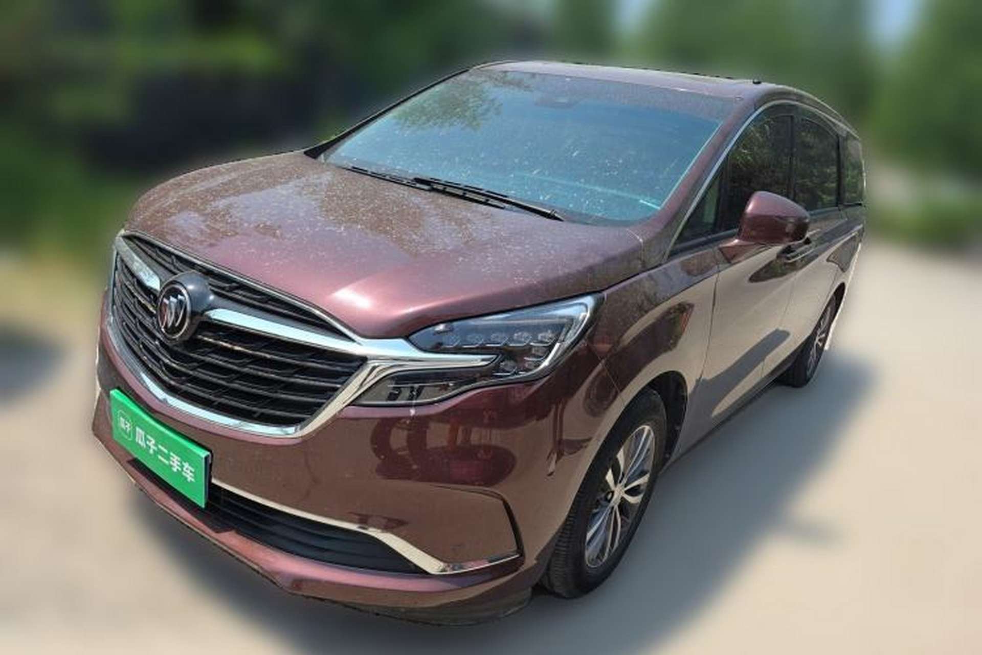 Used Buick GL8 2022 ES Landtrek 653T Luxury Edition Front Left 45 Deg