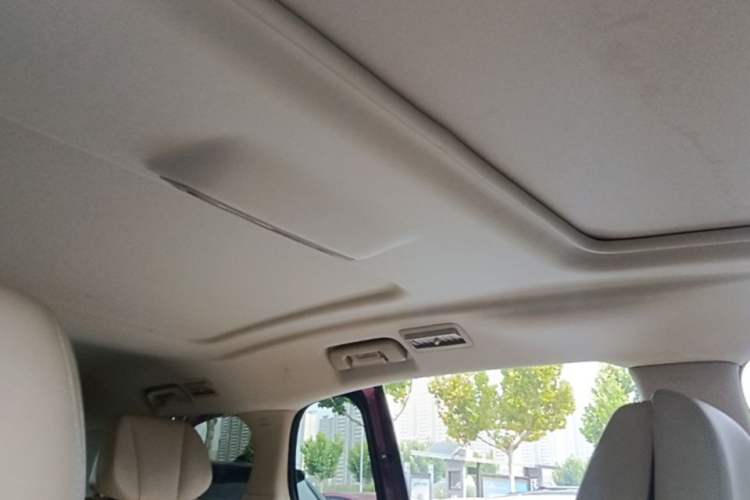 Used Buick GL8 2022 ES Landtrek 653T Luxury Edition Headliner