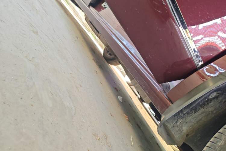 Used Buick GL8 2022 ES Landtrek 653T Luxury Edition Right Side Sill