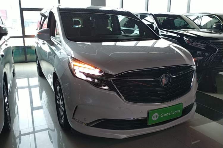 Used Buick GL8 2022 ES Landtrek 653T Luxury Edition Exterior 1