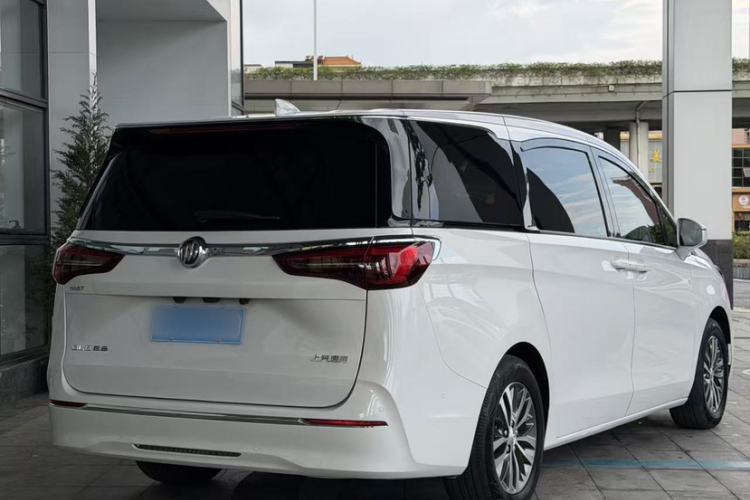 Used Buick GL8 2022 ES Landtrek 653T Luxury Edition Exterior 4