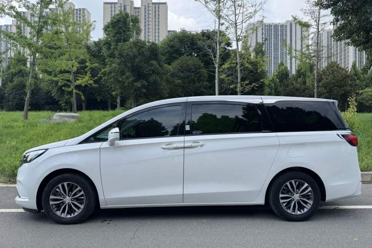 Used Buick GL8 2022 ES Landtrek 653T Luxury Edition Exterior 4