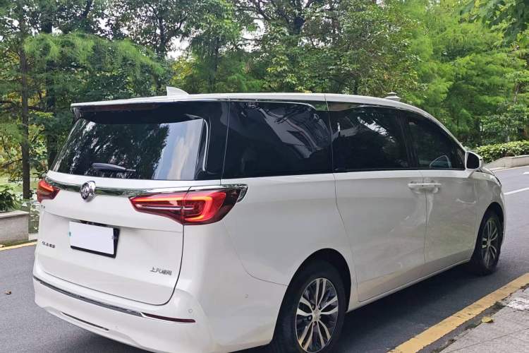Used Buick GL8 2022 ES Landtrek 653T Luxury Edition Exterior 6