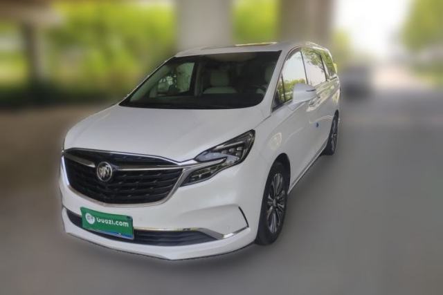 Used Buick GL8 2022 ES Landtrek 653T Flagship Model