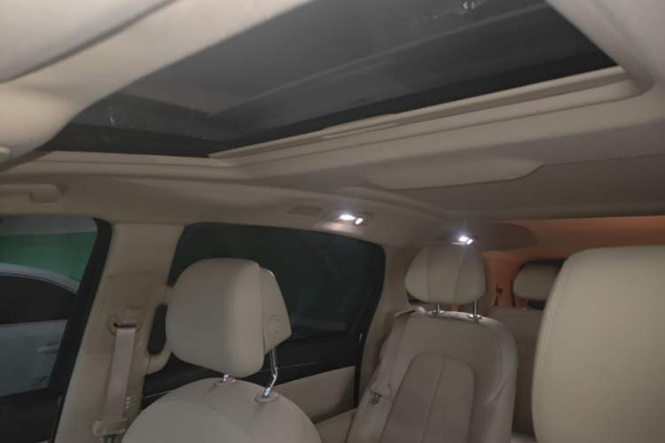 Used Buick GL8 2022 ES Landtrek 653T Luxury Edition Headliner