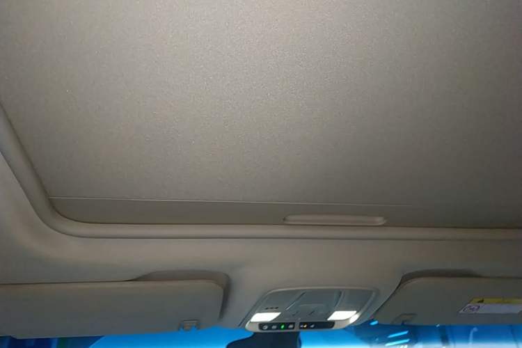 Used Buick GL8 2022 ES Landtrek 653T Luxury Edition Headliner