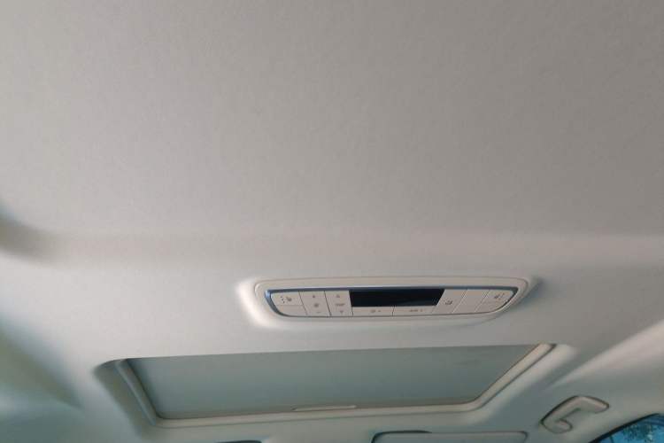 Used Buick GL8 2022 ES Landtrek 653T Luxury Edition Headliner