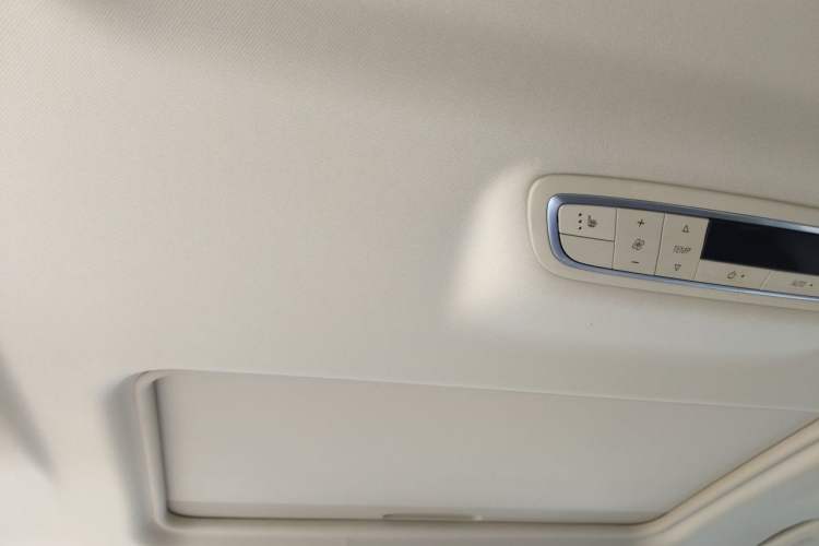 Used Buick GL8 2022 ES Landtrek 653T Luxury Edition Headliner