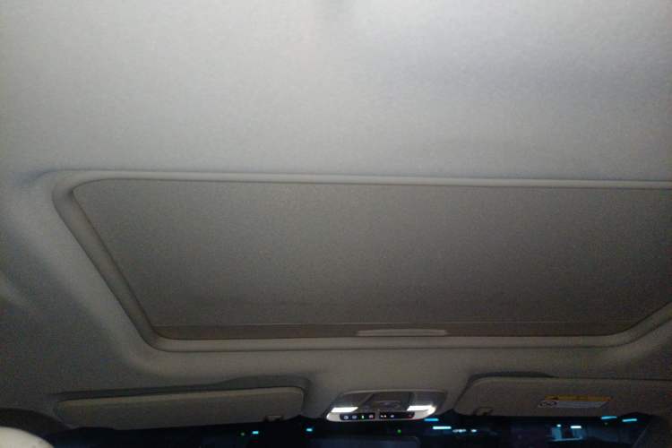 Used Buick GL8 2022 ES Landtrek 653T Luxury Edition Headliner