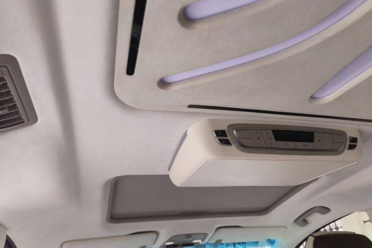 Used Buick GL8 2022 ES Landtrek 653T Comfort Edition Headliner