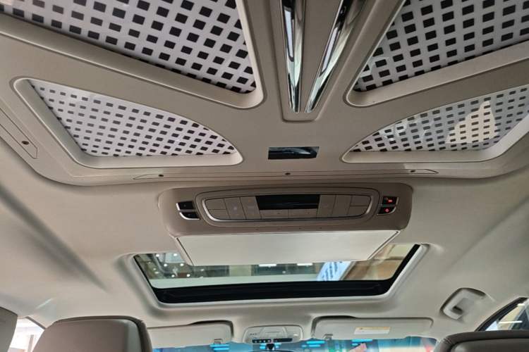 Used Buick GL8 2022 ES Landtrek 653T Comfort Edition Headliner