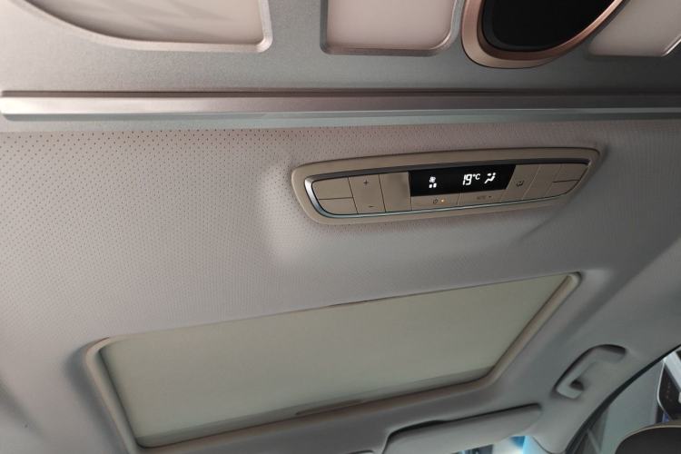 Used Buick GL8 2022 ES Landtrek 653T Comfort Edition Headliner