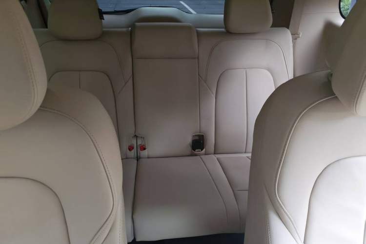 Used Buick GL8 2022 ES Landtrek 653T Luxury Edition Interior 3