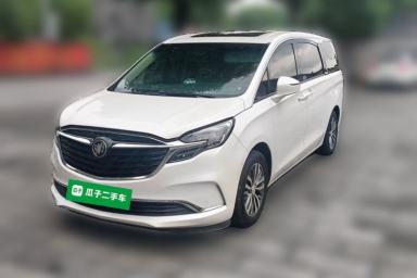 Used Buick GL8 2022 ES Landtrek 653T Luxury Edition