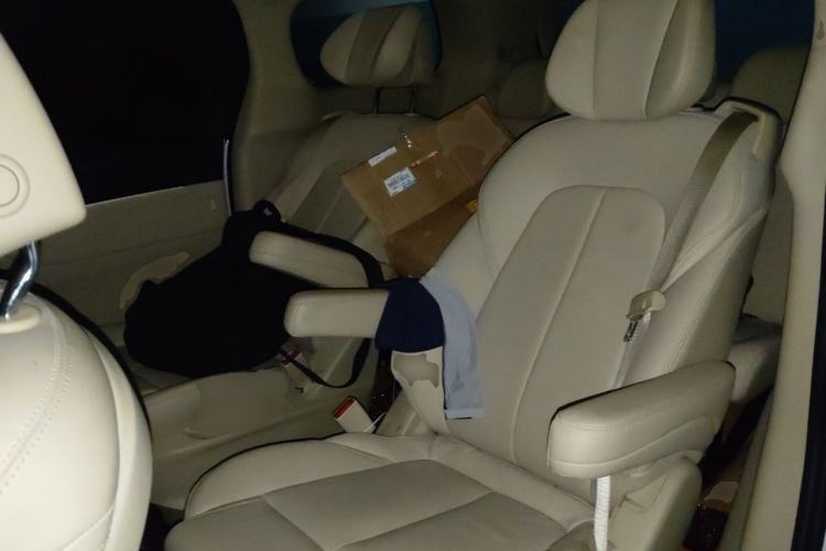 Used Buick GL8 2022 ES Landtrek 653T Luxury Edition Left Rear Seat